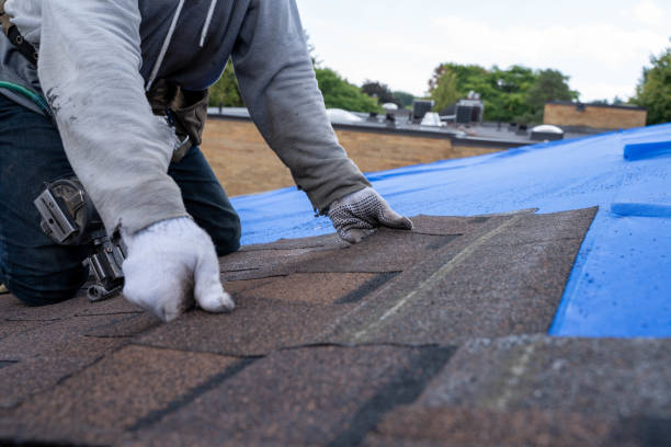 Best Commercial Roofing Services  in Arnold Line, MS